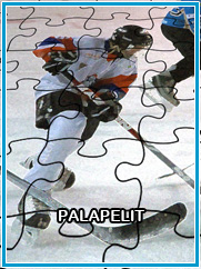 Palapelit